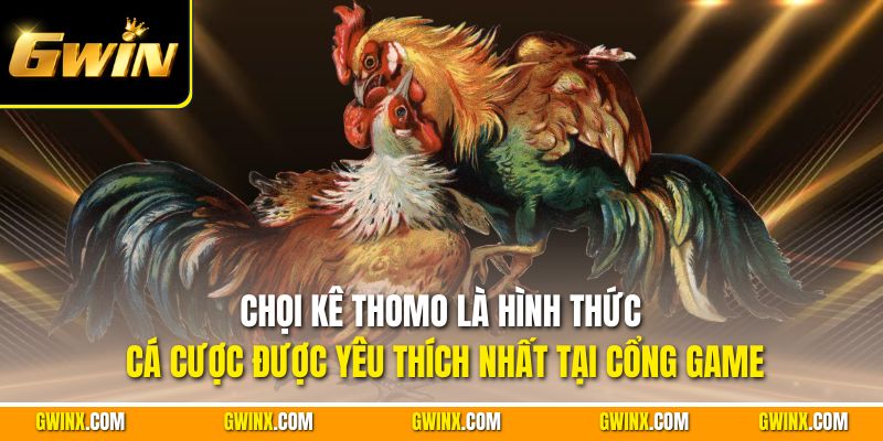 Chọi kê Thomo là hình thức cá cược được yêu thích nhất tại cổng game