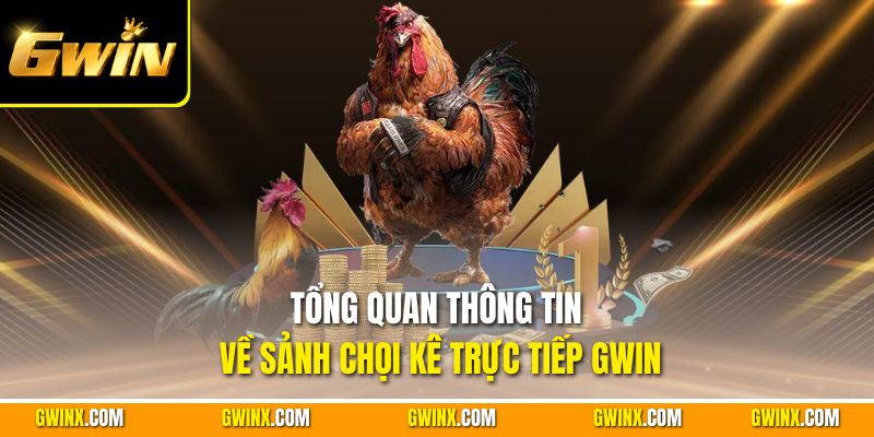 Tổng quan thông tin về sảnh chọi kê trực tiếp Gwin