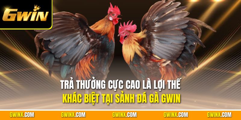 Trả thưởng cực cao là lợi thế khác biệt tại sảnh đá gà Gwin